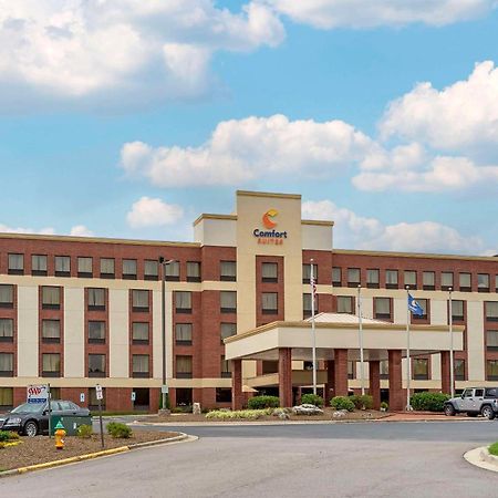 Comfort Suites Outlet Center Asheville Exterior photo